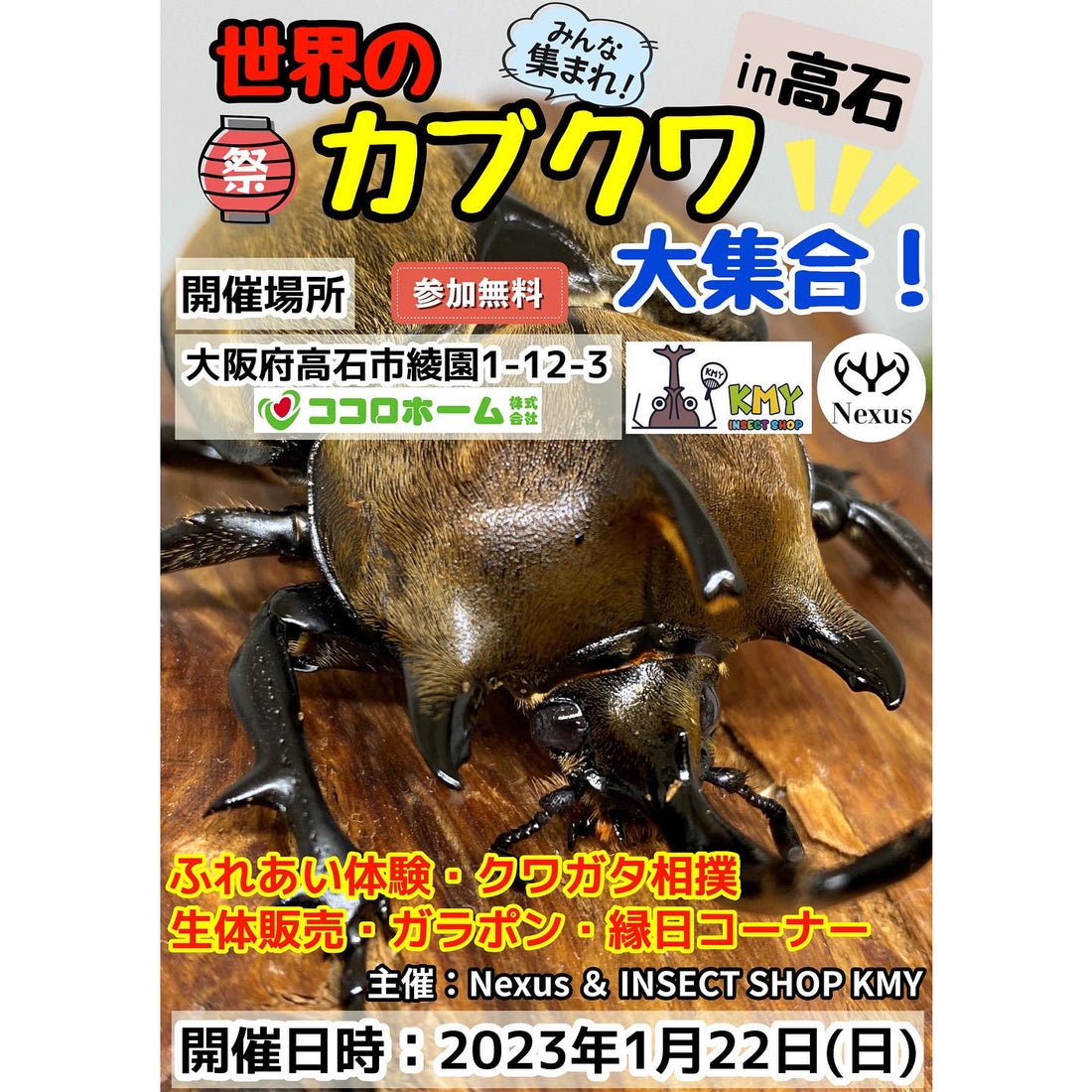 【世界のカブクワ大集合!!in高石】開催‼️