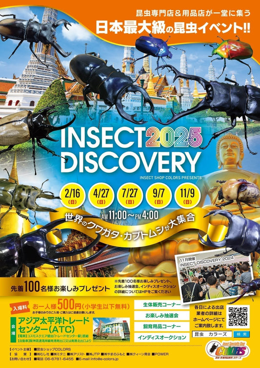 インセクトディスカバリー2025年2月 出品リスト