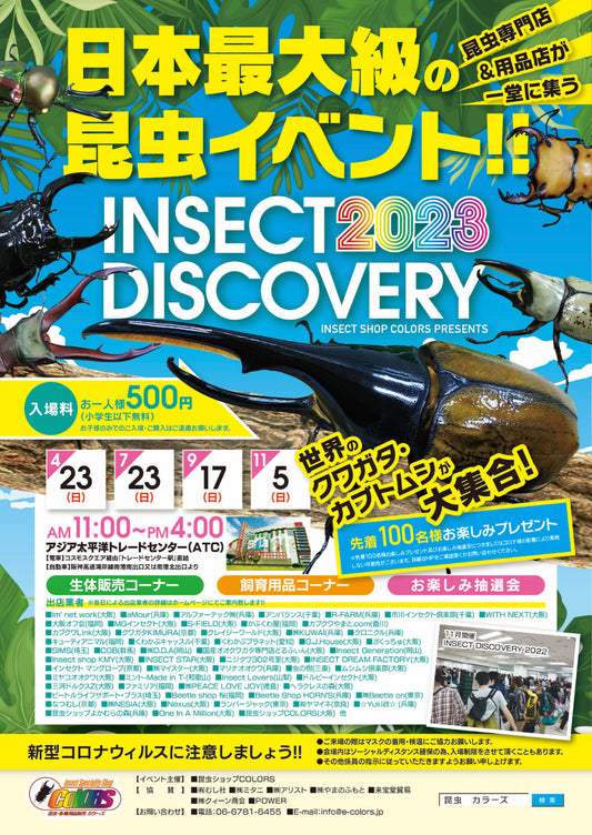 インセクトディスカバリー2023✨ 7月23日販売リスト紹介