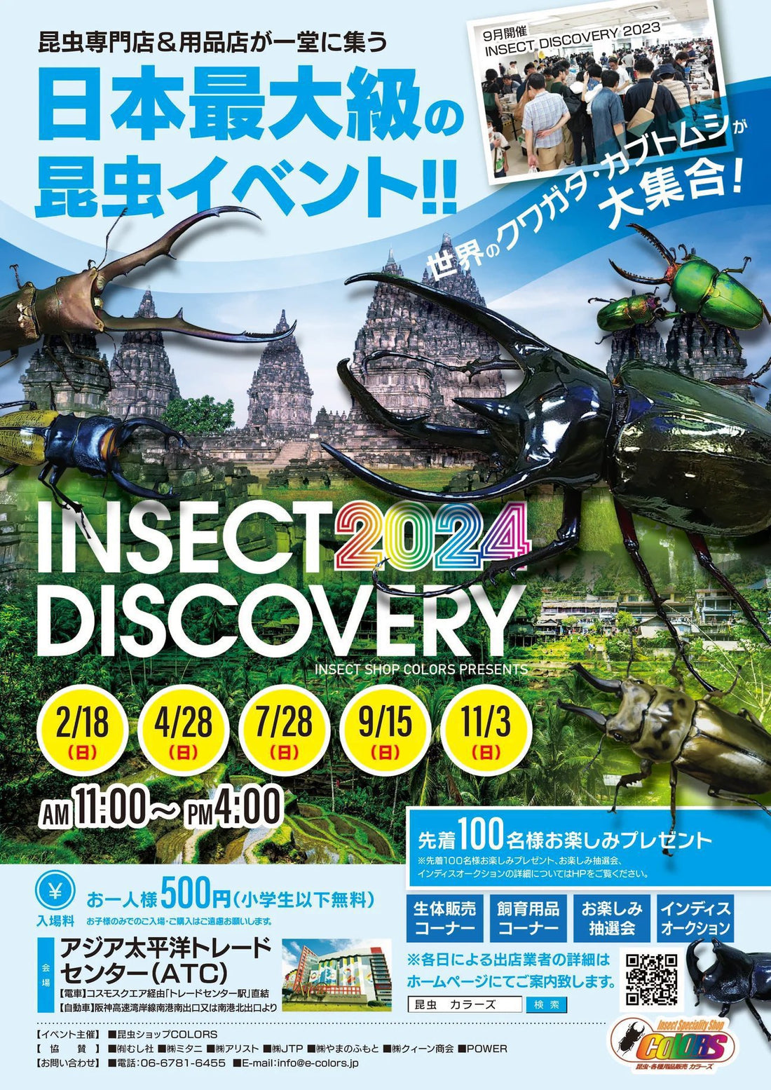 インセクトディスカバリー2024年11月 出店品リスト