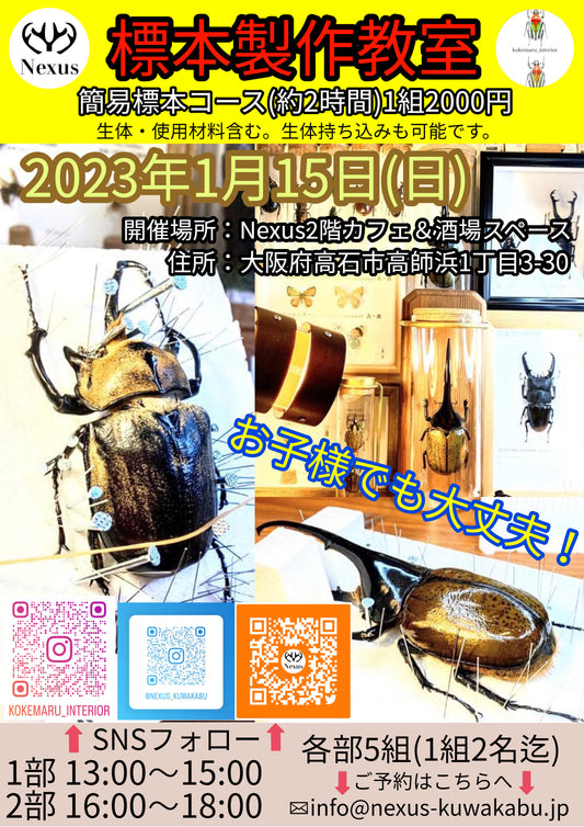 標本製作教室 開校致します👏👏