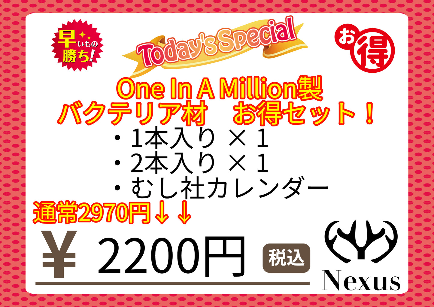福箱 バクテリア材(1本入り・2本入り)お得セット!