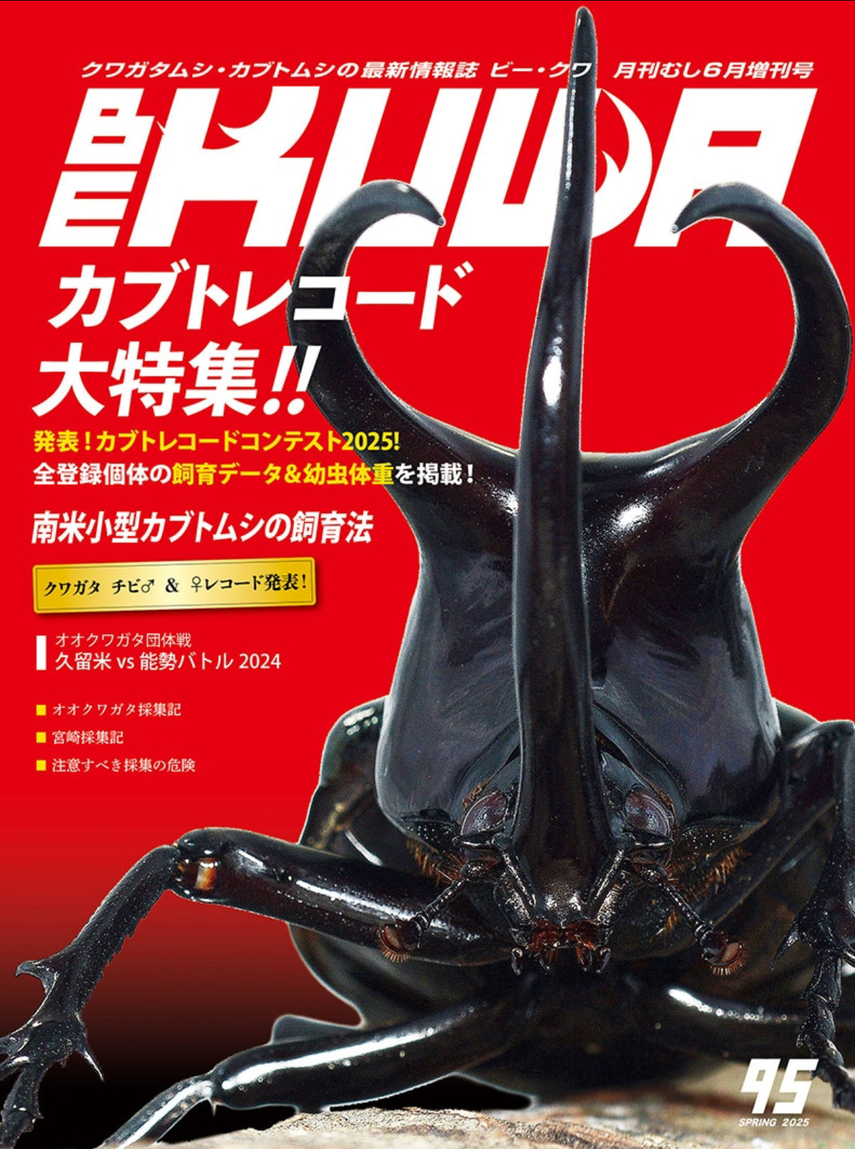 BE-KUWA No.95 カブト飼育レコード大特集!!