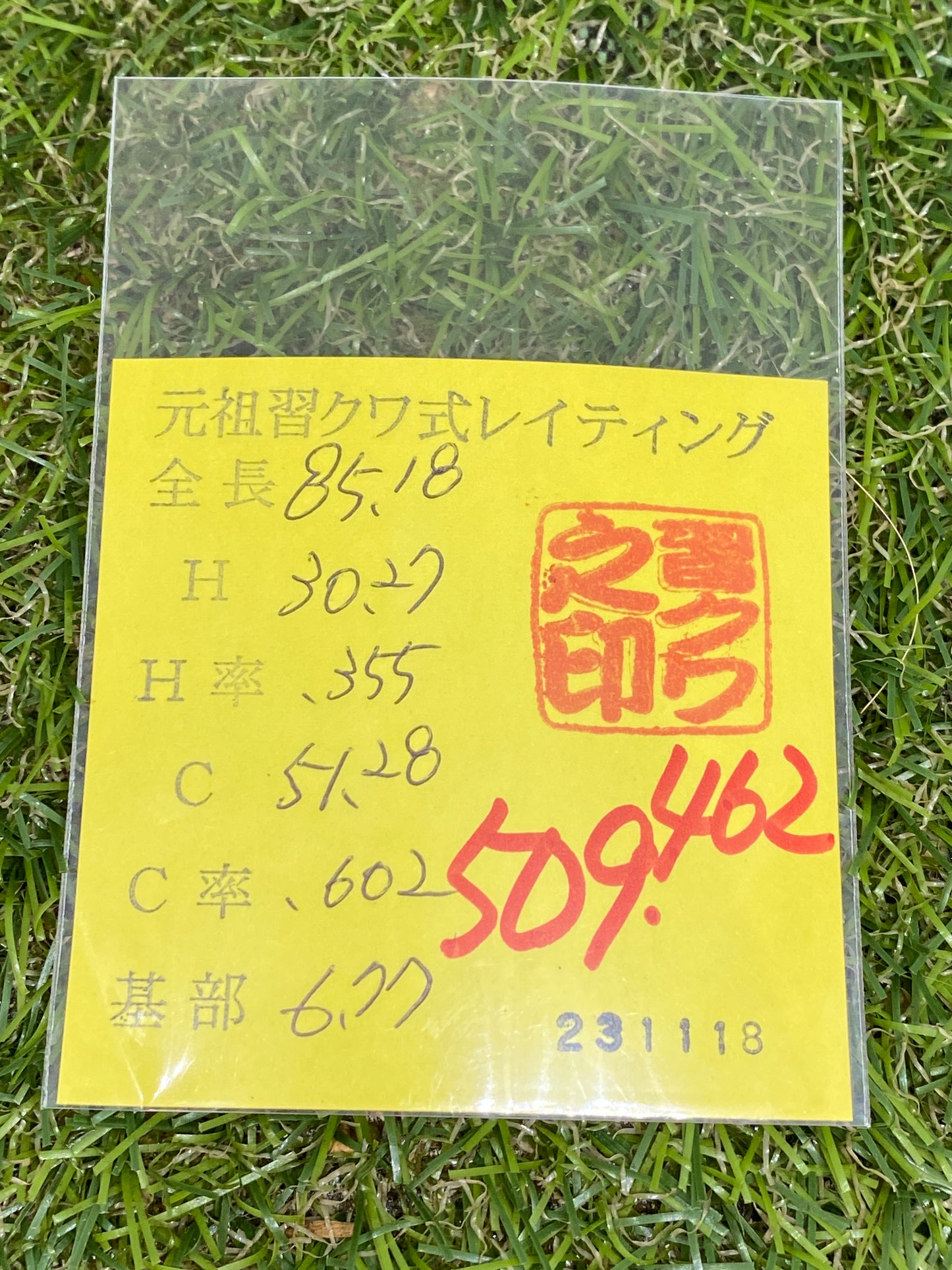 オオクワガタ 奈良輪川西 幼虫1頭 親♂85.1mm(レイティング509.462)×♀53.3mm