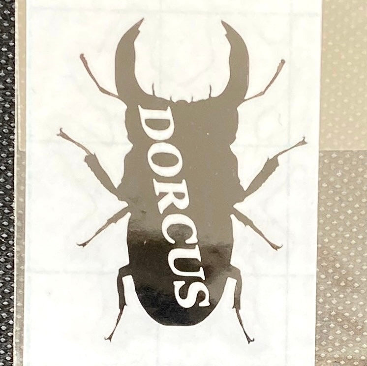 【オオクワガタ Dorcus】ステッカー
