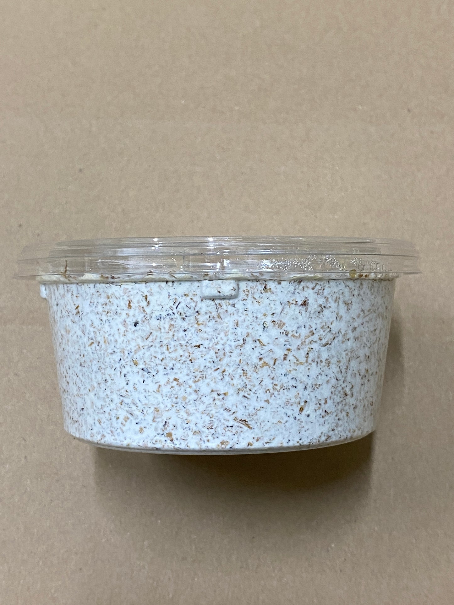 カワラ250cc(菌糸カップ)