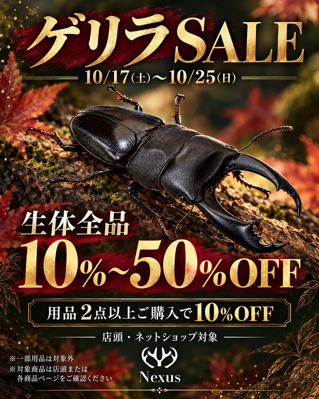 10月ゲリラセール開催中🎉