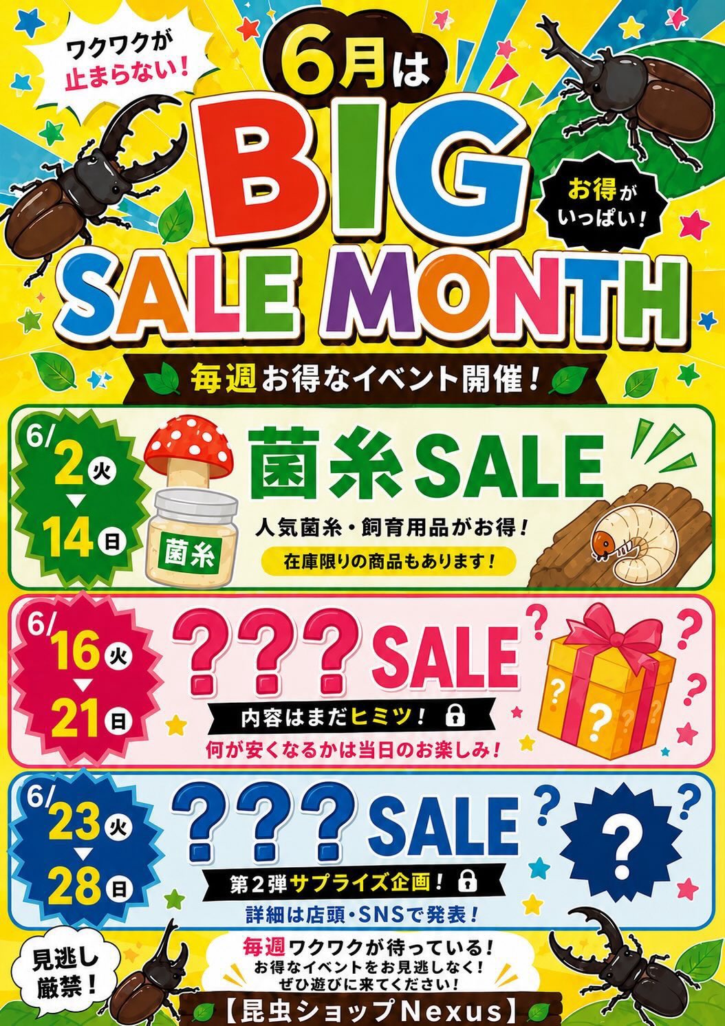 6月は「BIG SALE MONTH」開催🎉