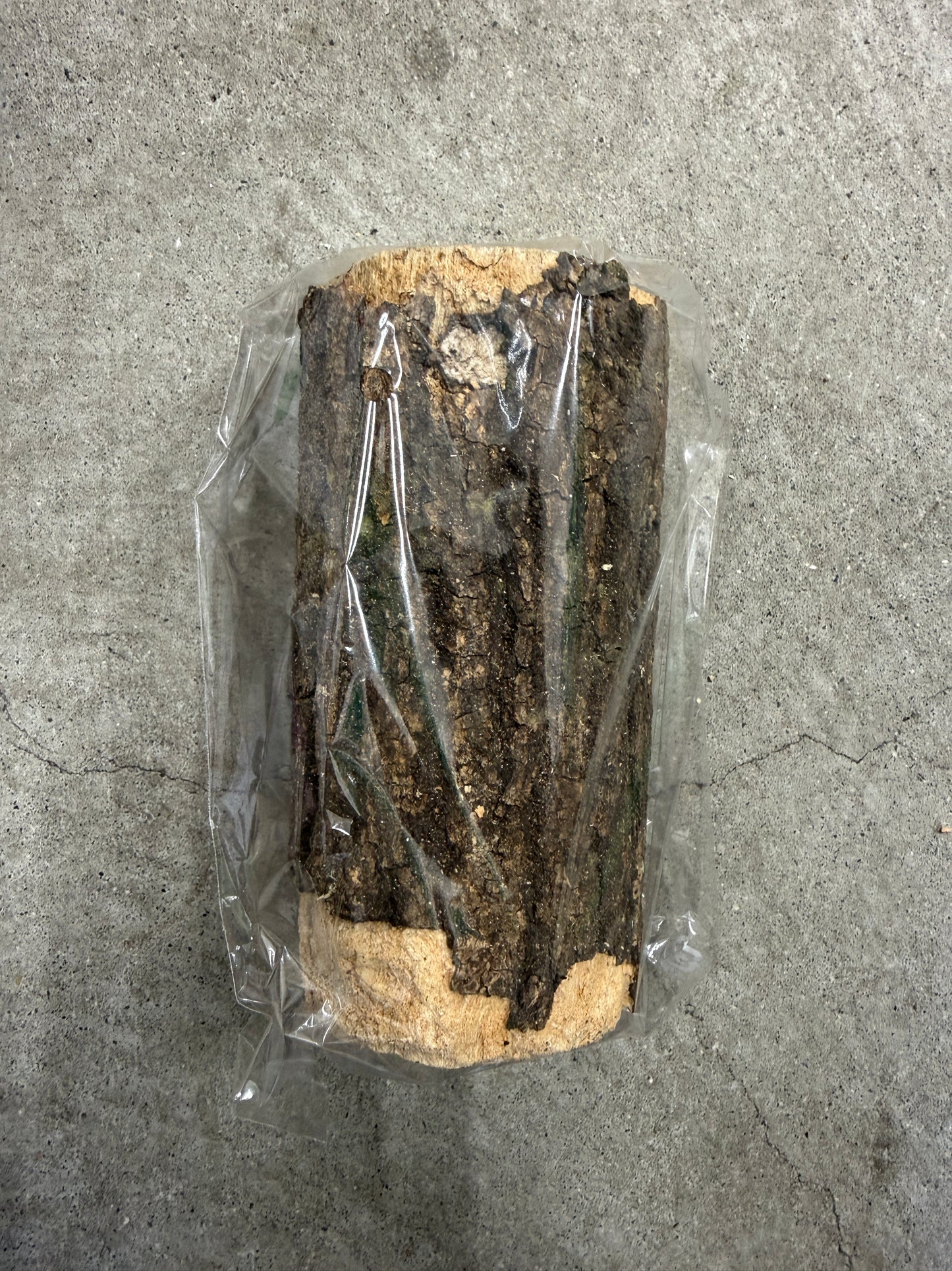 クワガタ産卵用品一式セット(小サイズ)
