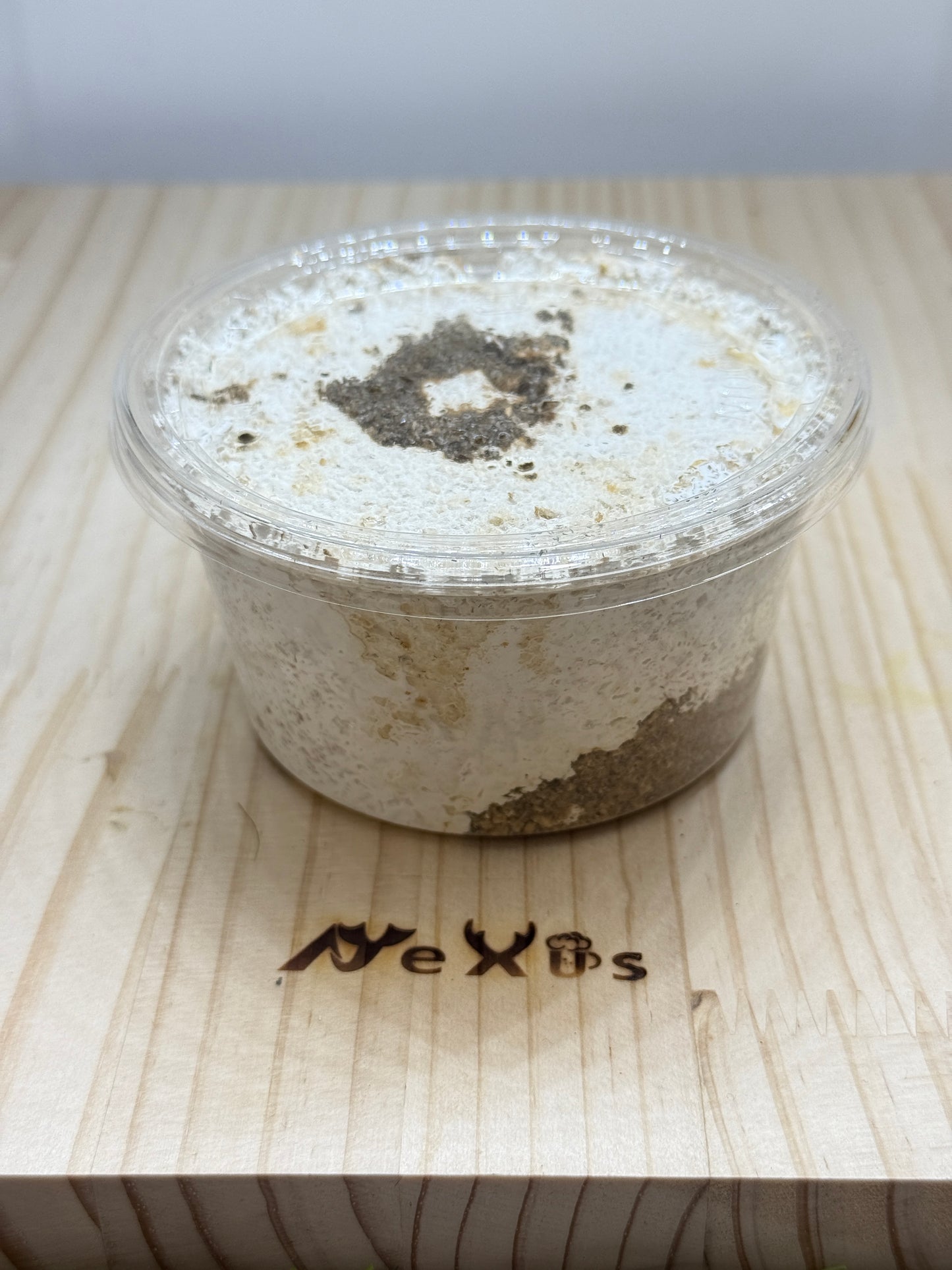 テイオウヒラタクワガタ 幼虫1頭