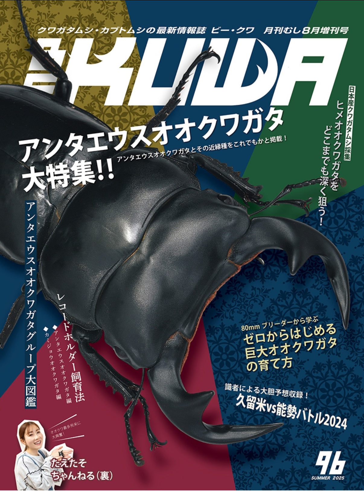 ビークワ BEKUWA 14冊セット クワガタ雑誌 ビークワ BEKUWA 14冊セット クワガタ雑誌 むし社 BE・KUWA（ビークワ