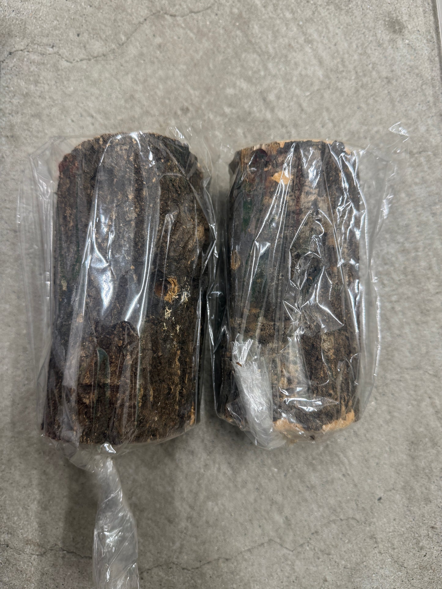 クワガタ産卵用品一式セット(大サイズ)