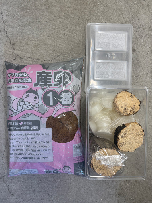 クワガタ産卵用品一式セット(小サイズ)