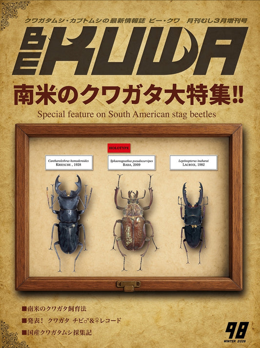 BE-KUWA　No.98　南米のクワガタ大特集！！