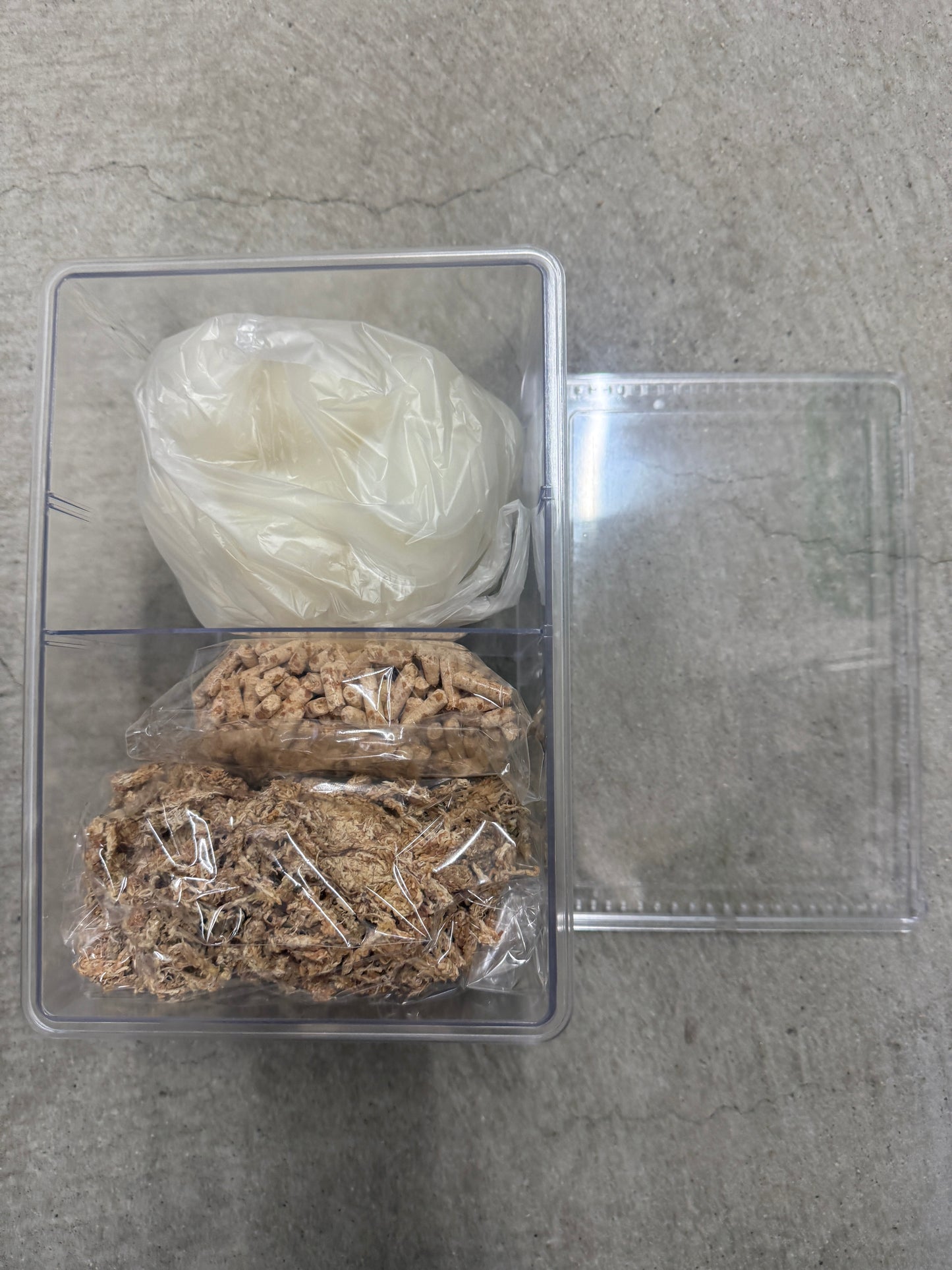 クワガタ・カブトムシ成虫飼育セット(大サイズ)