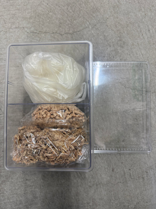 クワガタ・カブトムシ成虫飼育セット(大サイズ)