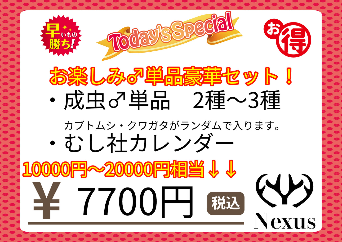 福箱 お楽しみ♂単品豪華セット！