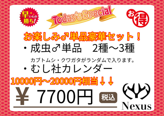 福箱 お楽しみ♂単品豪華セット！