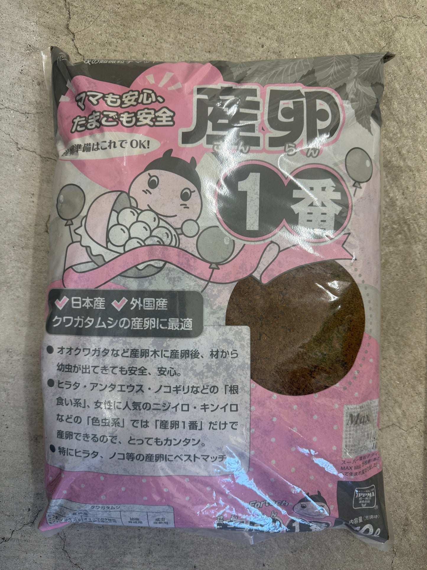 クワガタ産卵用品一式セット(大サイズ)