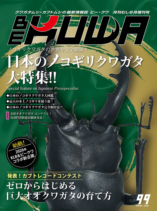 BE-KUWA　No.99日本のノコギリクワガタ大特集!!