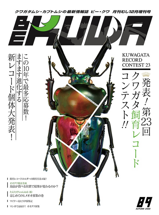 BE-KUWA　No.89第23回 クワガタ飼育レコードコンテスト！！