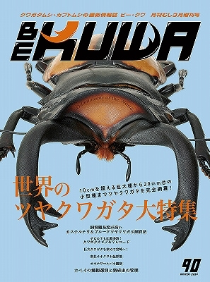 BE-KUWA　No.90世界のツヤクワガタ大特集！