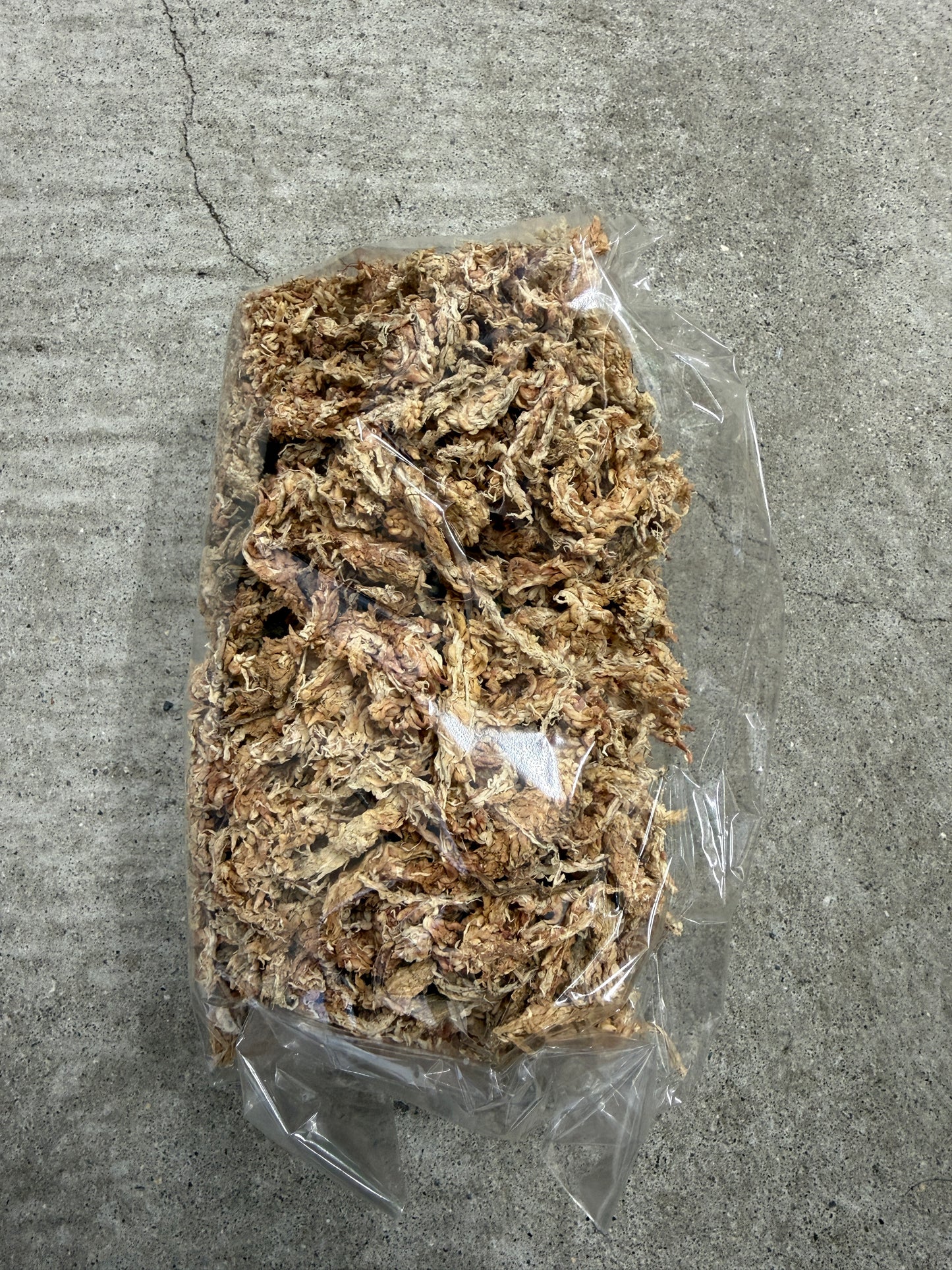 クワガタ・カブトムシ成虫飼育セット(大サイズ)