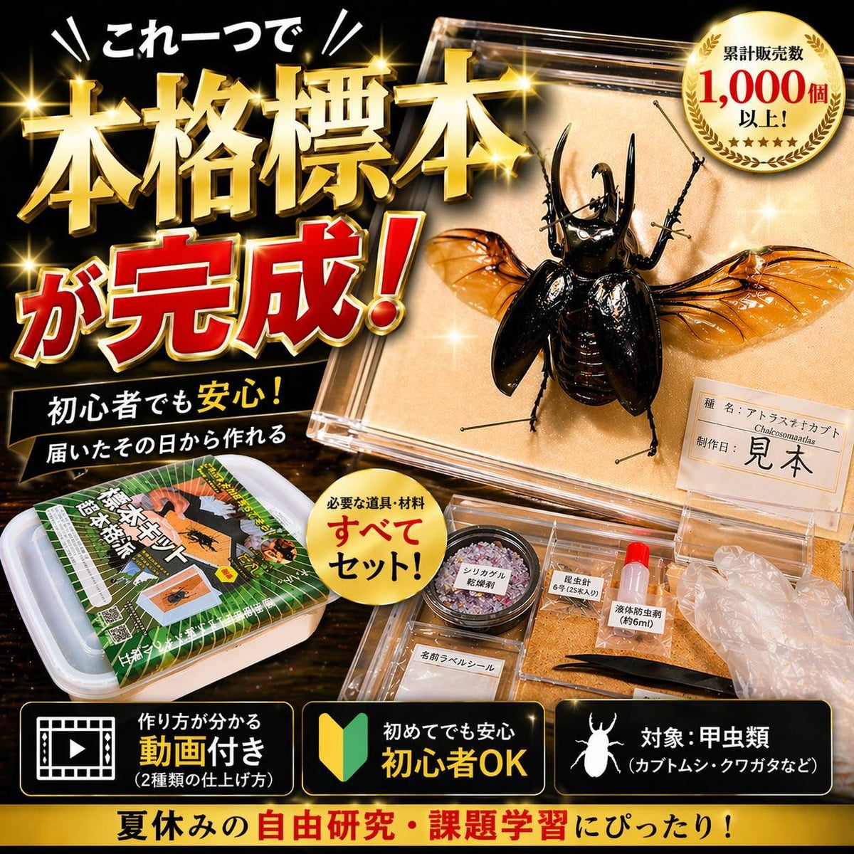 【本格標本キット】初心者OK｜昆虫標本が自宅で作れる｜動画解説付き・自由研究にもおすすめ