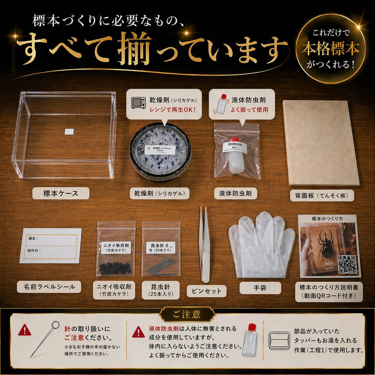 【本格標本キット】初心者OK｜昆虫標本が自宅で作れる｜動画解説付き・自由研究にもおすすめ