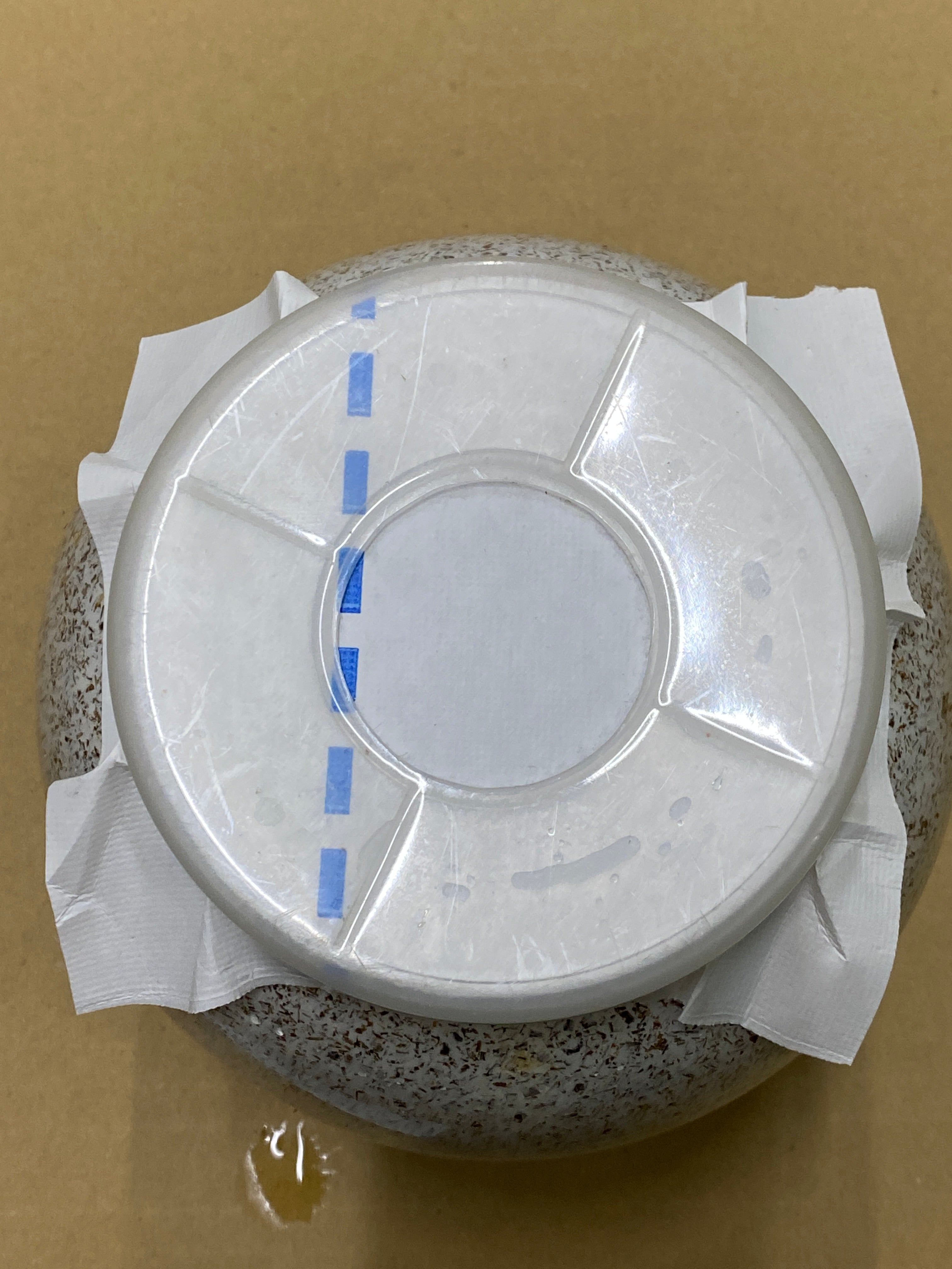 ファミリア製【LAST PIECE】ラストピース 3200cc – 昆虫ショップ